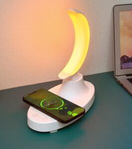 Crescent Lamp