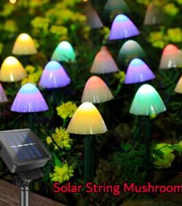 Solar Mushroom String