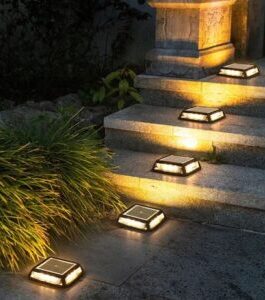 Solar Pathway Light